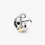 799160C01 PANDORA ORIGINALS CHARM CUORE E LUCCHETTO BICOLORE